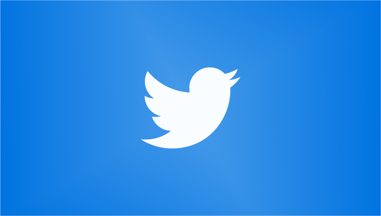 twitter bird icon