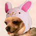 つんつ Profile Image